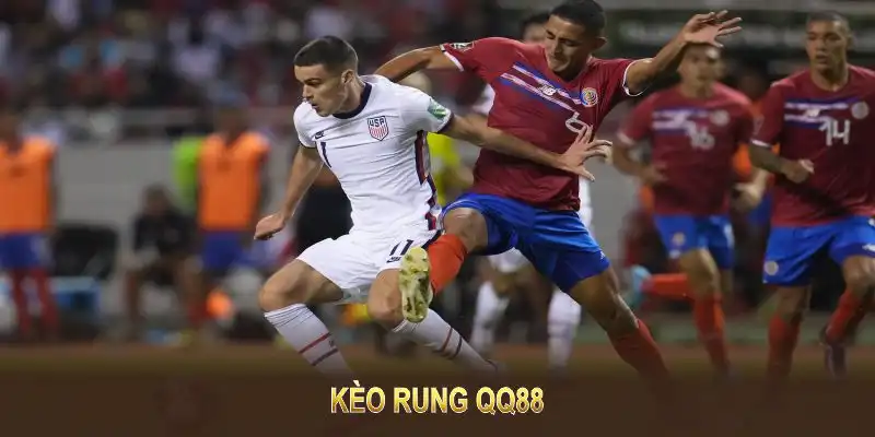 Kèo rung QQ88