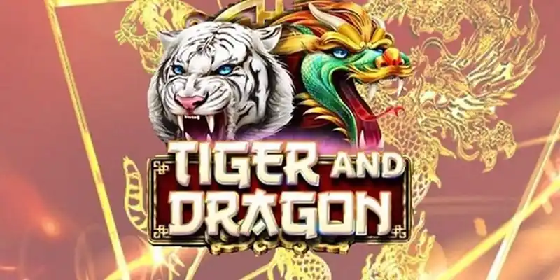 Dragon Tiger thu hút người chơi